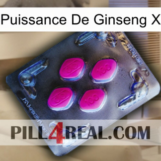 Ginseng Power X 02